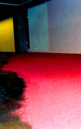 installation-500-kg-de-sel-pigmenté-en-rouge-puces-electroniques-projection1